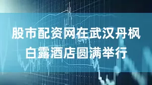 股市配资网在武汉丹枫白露酒店圆满举行