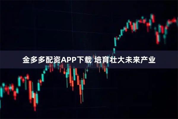 金多多配资APP下载 培育壮大未来产业