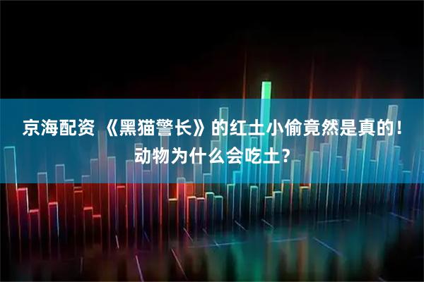 京海配资 《黑猫警长》的红土小偷竟然是真的!动物为什么会吃土?